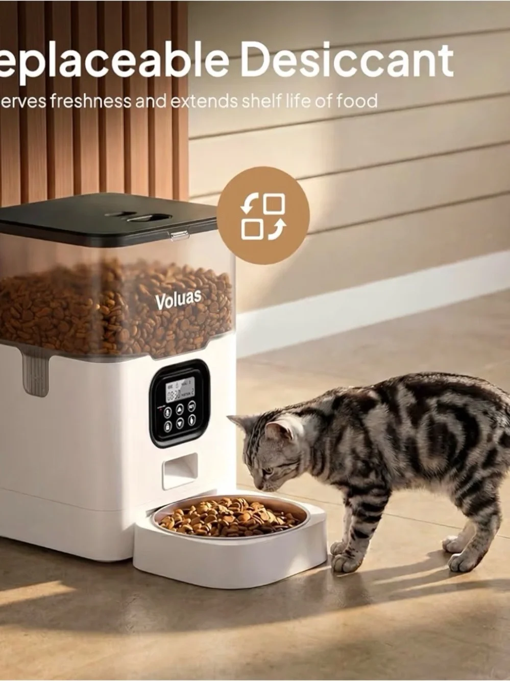 Automatic Cat Feeder - White with Clear Hopper
